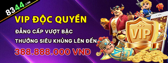 Hình ảnh quảng cáo của god55 hiển thị nền tảng và các lợi ích